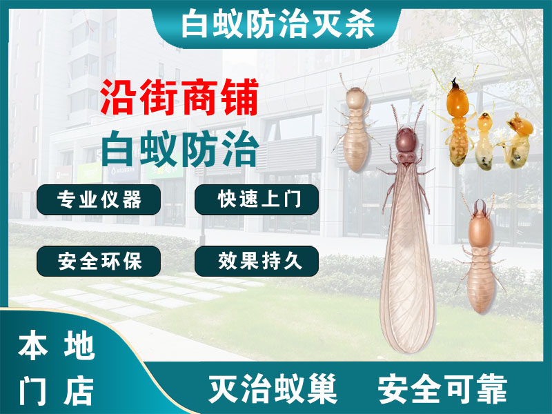 南湖沿街商铺白蚁防治