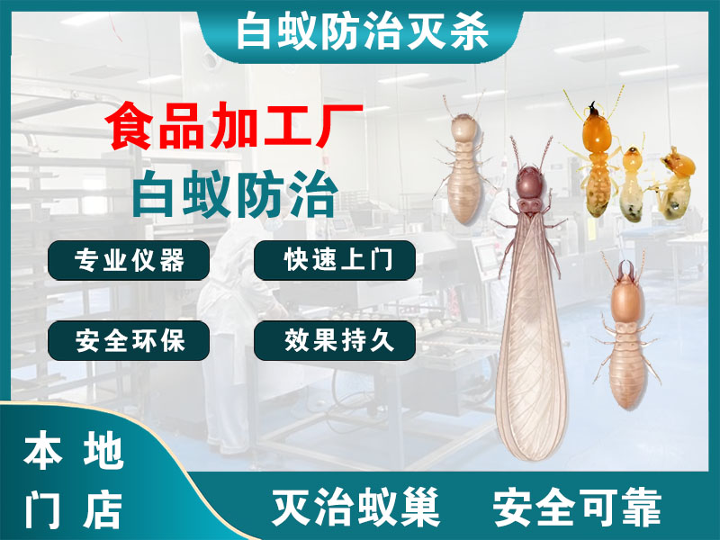 南湖食品加工厂白蚁防治