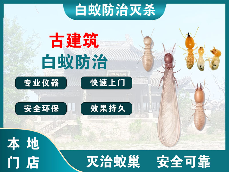 南湖古建筑白蚁防治