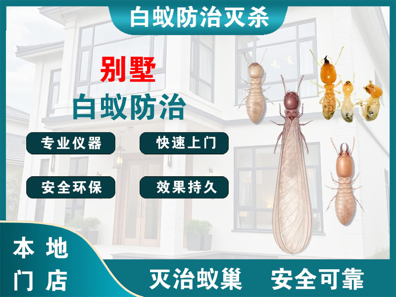 南湖别墅白蚁防治